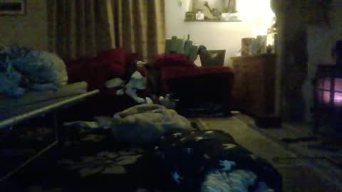 Snapshot of j4ckcock chatting on January 1, 2025, 12:43 am J4ckcock online show from January 1, 2025, 12:43 am