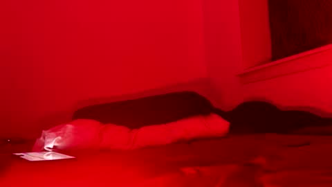 Snapshot of j4ckoff chatting on November 22, 2025, 5:50 am j4ckoff online show from November 22, 2025, 5:50 am