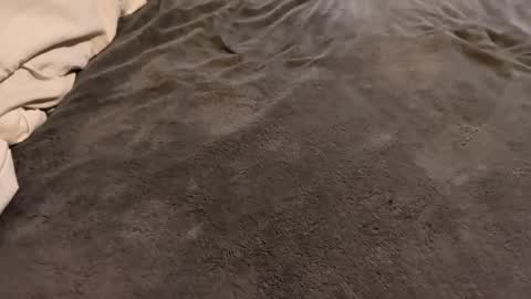 Snapshot of j_m12397 chatting on February 27, 2026, 3:17 am j_m12397 online show from February 27, 2026, 3:17 am