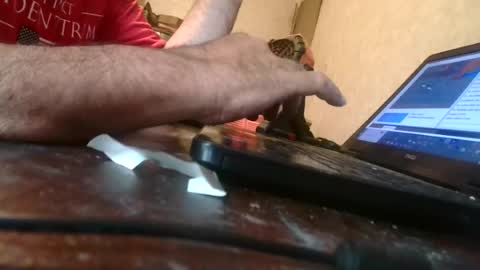 Snapshot of jackgow chatting on July 18, 2026, 1:04 pm jackgow online show from July 18, 2026, 1:04 pm