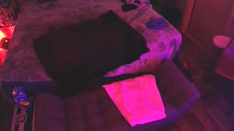 Snapshot of jackmeoff369 chatting on October 15, 2025, 12:49 pm jackmeoff369 online show from October 15, 2025, 12:49 pm