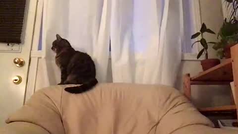 Jacob online show from October 19, 2025, 11:00 am