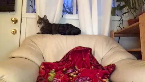 Jacob online show from February 22, 2026, 10:52 pm