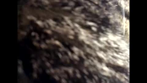 Jacob online show from March 24, 2026, 12:43 pm