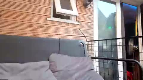jadealexas online show from July 31, 2026, 7:35 pm