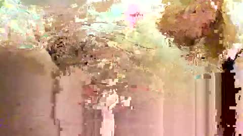 Snapshot of jadedmoshier chatting on November 28, 2025, 9:01 am jadedmoshier online show from November 28, 2025, 9:01 am