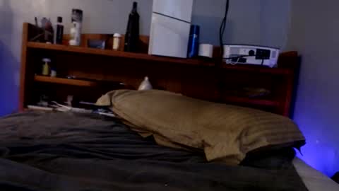 Snapshot of james30cup chatting on September 14, 2025, 9:19 am what you in too online show from September 14, 2025, 9:19 am