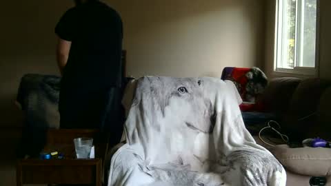 Snapshot of jameswolf777 chatting on September 27, 2025, 2:44 pm jameswolf777 online show from September 27, 2025, 2:44 pm