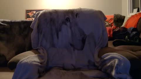 Snapshot of jameswolf777 chatting on December 16, 2025, 2:44 pm jameswolf777 online show from December 16, 2025, 2:44 pm