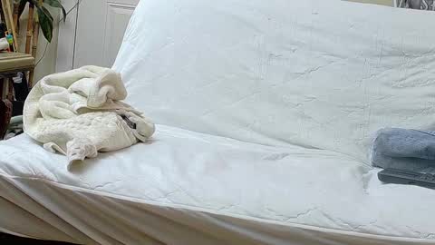 Bootyshows online show from September 17, 2025, 12:29 pm