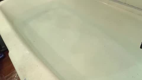 Bootyshows online show from October 29, 2025, 7:59 pm