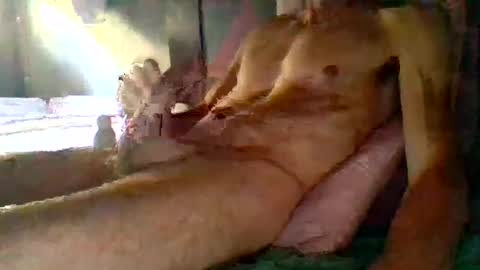 Snapshot of janzibor chatting on July 6, 2026, 12:46 pm janzibor online show from July 6, 2026, 12:46 pm