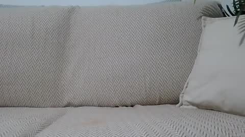 Snapshot of jasmin6501 chatting on October 11, 2025, 7:12 pm Ella0105 online show from October 11, 2025, 7:12 pm