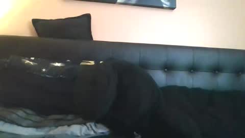 Snapshot of jasmine_devine1 chatting on May 16, 2026, 2:52 am Jasmine online show from May 16, 2026, 2:52 am