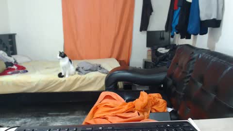 Snapshot of jaxivh16 chatting on October 11, 2025, 3:17 am jaxivh16 online show from October 11, 2025, 3:17 am