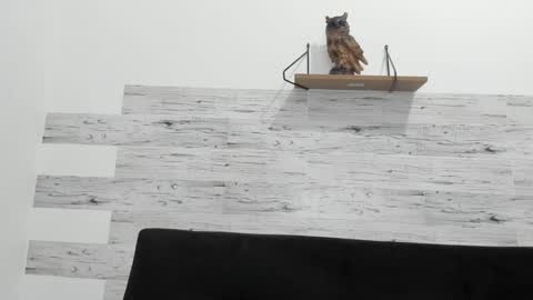 Snapshot of jaycreedd chatting on September 21, 2025, 12:12 am Jaycreedd online show from September 21, 2025, 12:12 am