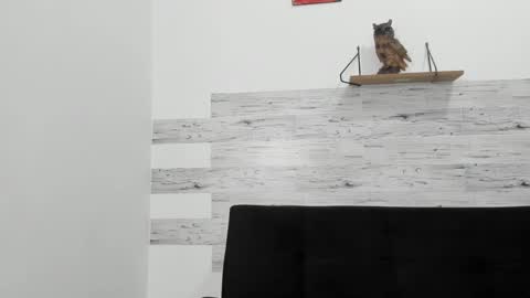 Snapshot of jaycreedd chatting on October 6, 2025, 2:53 am Jaycreedd online show from October 6, 2025, 2:53 am