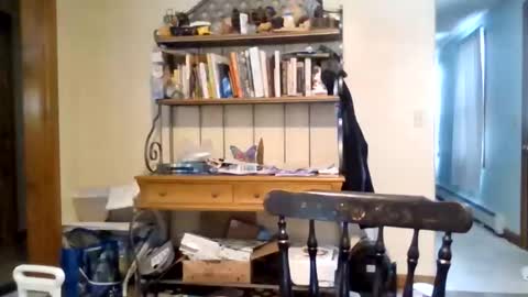 Snapshot of jaythenorth chatting on February 11, 2026, 4:56 pm jaythenorth online show from February 11, 2026, 4:56 pm