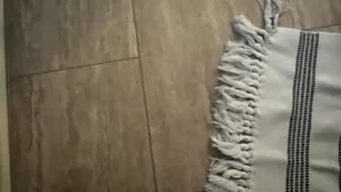 Snapshot of jbigblue chatting on January 11, 2026, 1:49 pm jbigblue online show from January 11, 2026, 1:49 pm