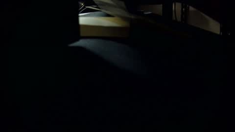 Snapshot of jbvgjjj chatting on March 1, 2025, 10:24 am dookie online show from March 1, 2025, 10:24 am