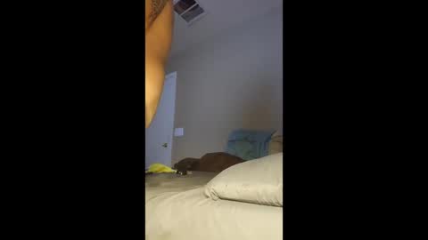 jdtripp15 online show from January 13, 2026, 11:43 pm