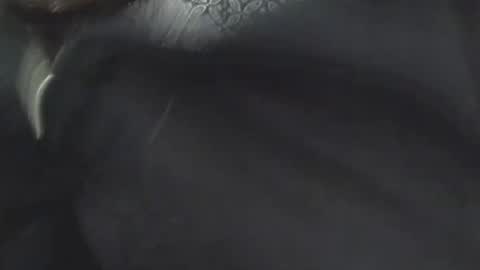 jean69006 online show from March 9, 2025, 2:54 pm