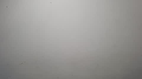 Snapshot of jeisonhoz chatting on October 13, 2025, 1:49 am jeisonfit online show from October 13, 2025, 1:49 am