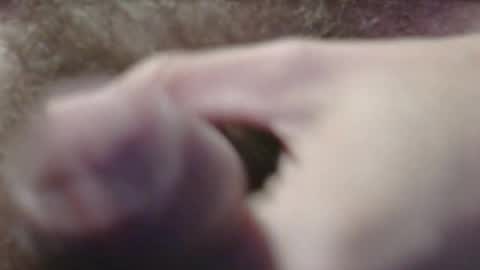 jerkingtyce online show from May 3, 2026, 3:12 am