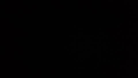 roee online show from December 28, 2024, 10:47 am