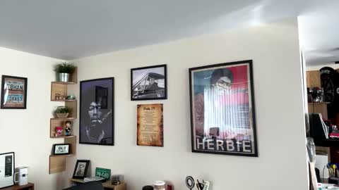 Snapshot of jerseyhammer01 chatting on April 16, 2026, 8:26 am Harry online show from April 16, 2026, 8:26 am