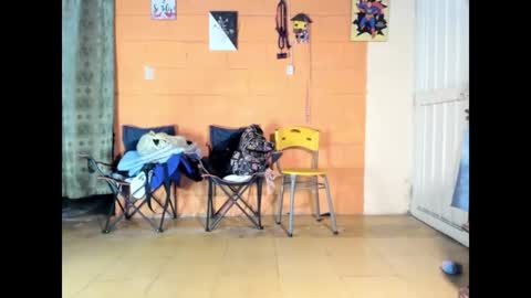 Jharol  online show from March 14, 2026, 7:14 am