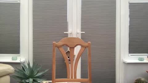 Snapshot of jiggz1986 chatting on February 10, 2025, 3:53 pm Jigz1986 online show from February 10, 2025, 3:53 pm