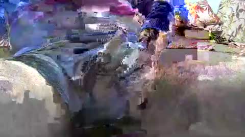 Snapshot of jimii281 chatting on January 12, 2026, 9:53 pm jimii281 online show from January 12, 2026, 9:53 pm