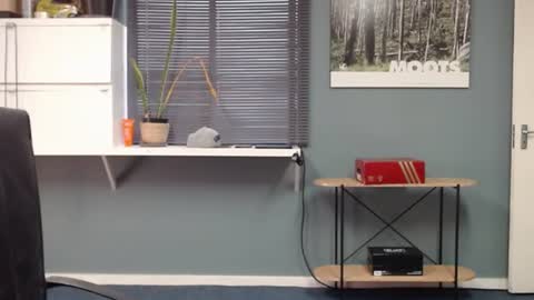 Snapshot of jjameson41 chatting on December 13, 2024, 11:34 am JamesJan van Rebel online show from December 13, 2024, 11:34 am