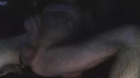 jjohnathan529 online show from February 24, 2025, 7:11 am