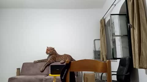 Snapshot of jlmbud chatting on October 20, 2025, 12:33 am jlmbud online show from October 20, 2025, 12:33 am