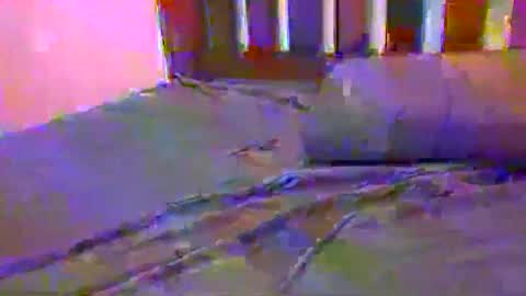 tip me online show from February 17, 2025, 10:29 am