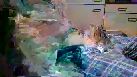 johnyboy34 online show from January 17, 2026, 6:40 am