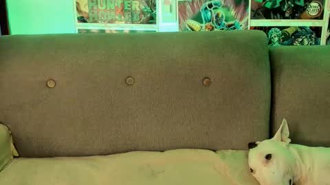 Snapshot of johncarrie chatting on September 28, 2025, 4:18 am John carrie Independent Help me reach my goal 100 likes and 10000 followers online show from September 28, 2025, 4:18 am