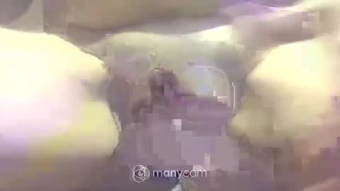 Snapshot of johnnyshung1 chatting on March 2, 2025, 5:04 pm johnnyshung1 online show from March 2, 2025, 5:04 pm