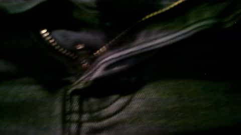 Snapshot of jointhechat chatting on January 12, 2025, 4:31 am Dirty Harry online show from January 12, 2025, 4:31 am