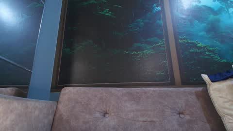 Snapshot of jonas_smith1 chatting on January 23, 2025, 12:25 am Jonas online show from January 23, 2025, 12:25 am