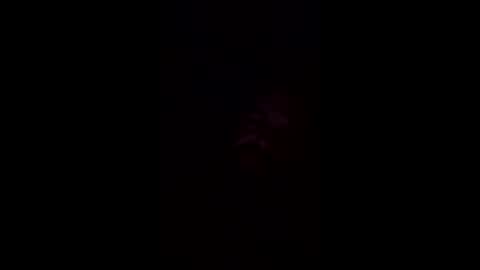 josephwalsh334 online show from April 1, 2026, 7:31 am