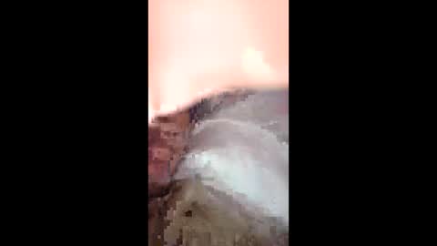 jtnorris0299626957 online show from April 16, 2026, 6:14 am