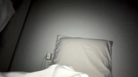 Snapshot of juangsnow chatting on January 28, 2025, 6:05 am Juan Gabriel online show from January 28, 2025, 6:05 am