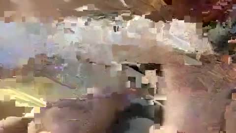 Carlos online show from December 23, 2024, 12:46 am