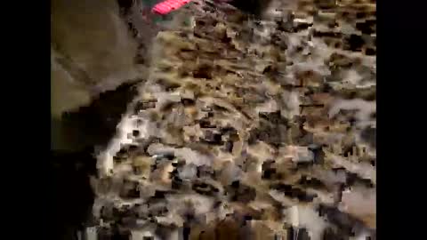 Snapshot of juicyslutx chatting on November 30, 2025, 7:07 pm juicyslutx online show from November 30, 2025, 7:07 pm