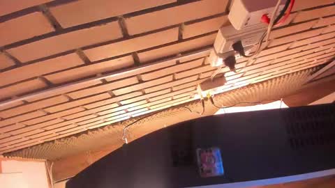 Julia online show from March 2, 2025, 4:07 am