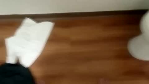 manolito online show from January 19, 2025, 12:06 pm