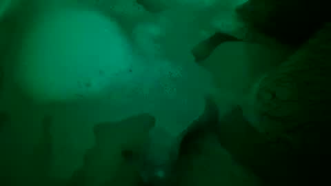 Yuri online show from December 22, 2024, 6:48 pm